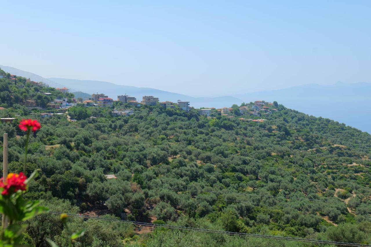 Vila Panorama Piqeras Bed and Breakfast Exterior foto