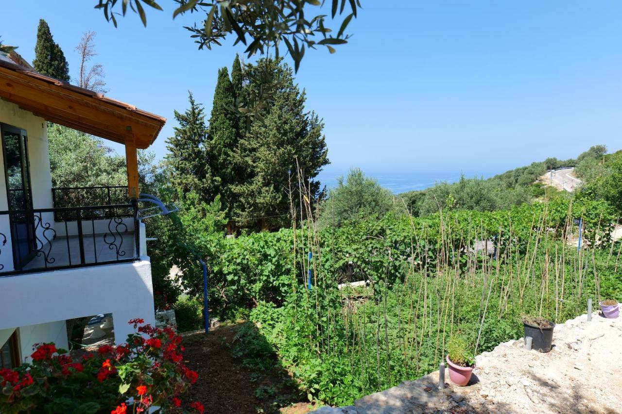 Vila Panorama Piqeras Bed and Breakfast Exterior foto