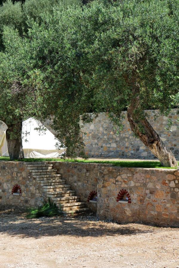 Vila Panorama Piqeras Bed and Breakfast Exterior foto